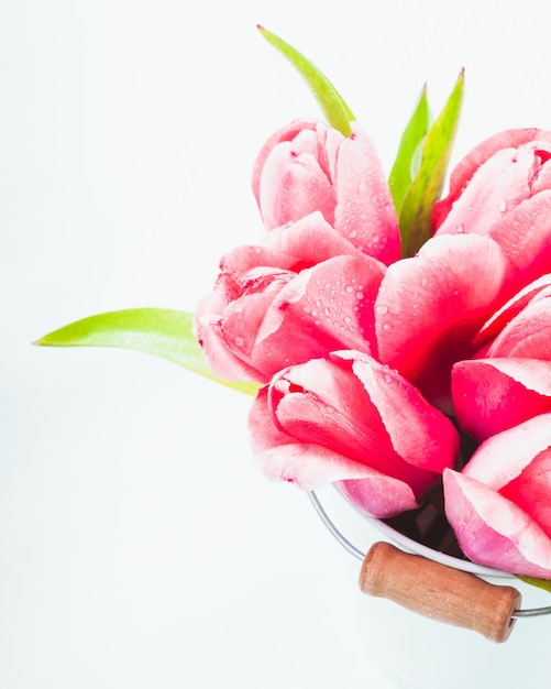 Tulipanes rosados en balde decorativo de cerca en blanco