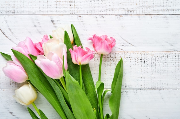 Tulipanes rosados y blancos sobre blanco