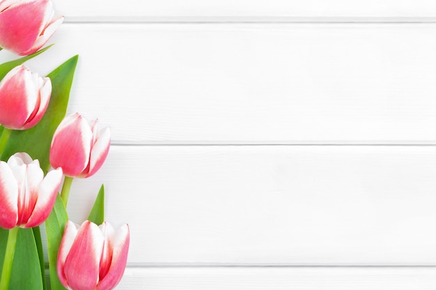 Tulipanes rosados y blancos sobre fondo blanco de madera.