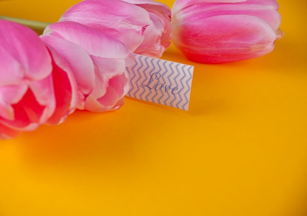 Tulipanes rosados en el fondo amarillo con la letra de amor del amor de la nota