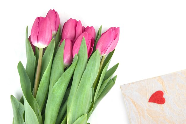 Tulipanes rosados de primer plano con regalo aislado en blanco