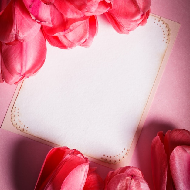 Tulipanes rosados con primer plano de la tarjeta