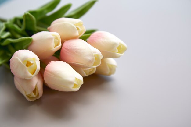 Tulipanes rosas para el Día Internacional de la Mujer.