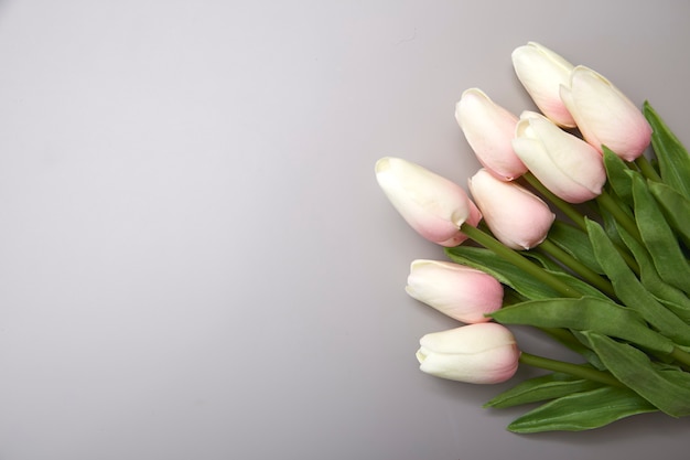 Tulipanes rosas para el Día Internacional de la Mujer.