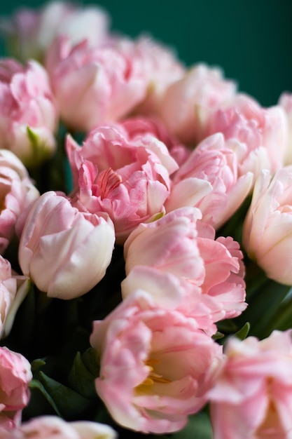 Tulipanes rosas sobre fondo verde oscuro Espacio de copia Tarjeta de felicitación Día de San Valentín