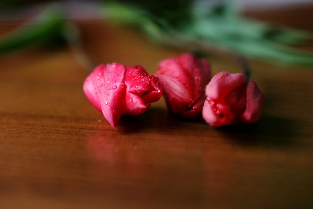 Tulipanes rosas sobre una superficie de madera