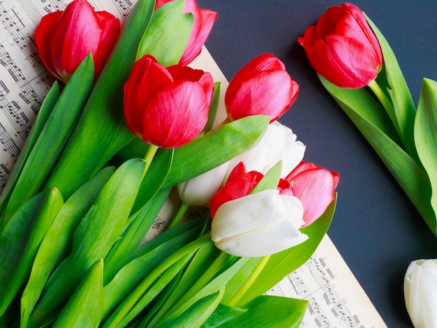 Tulipanes sobre fondo gris turquesa. Flores de primavera. Día de San Valentín, Día de la Mujer y Día de la Madre.