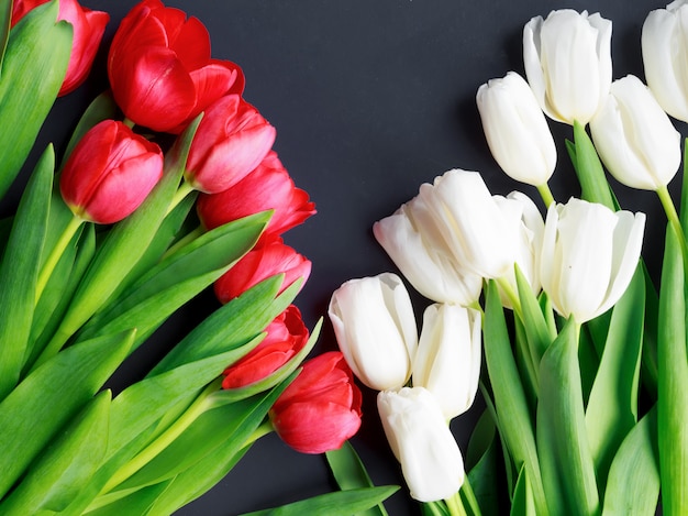 Tulipanes sobre fondo gris turquesa. Flores de primavera. Día de San Valentín, Día de la Mujer y Día de la Madre.