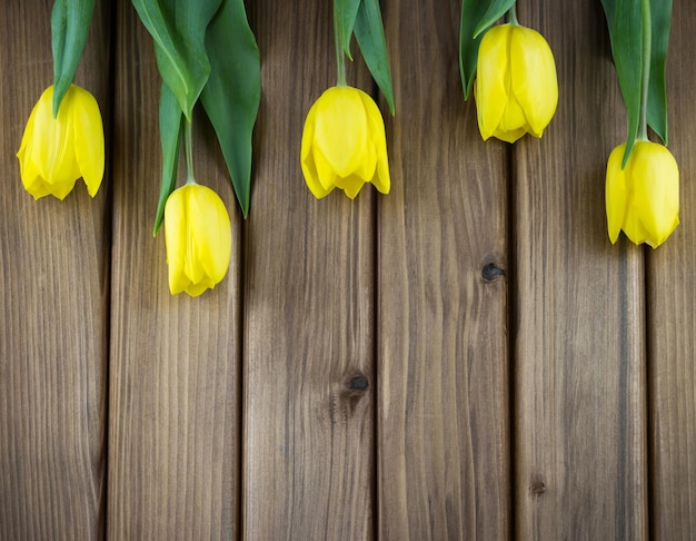 Tulipanes sobre fondo de madera