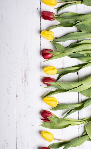 Tulipanes en vísperas de tablones de madera blanca