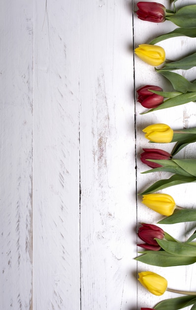 Tulipanes en vísperas de tablones de madera blanca