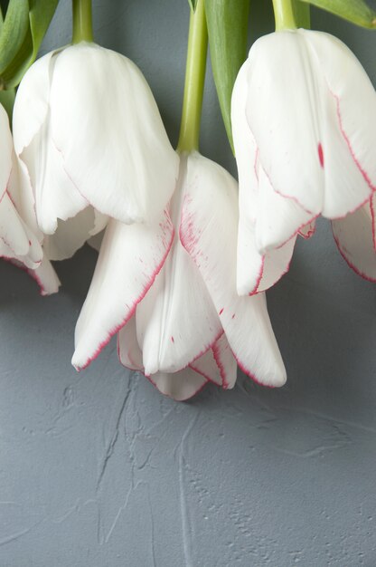 Tulipanes