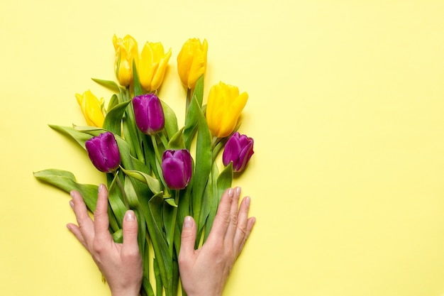 Tulipas amarelas e roxas das flores em um ramalhete em um fundo amarelo e nas mãos de uma mulher,