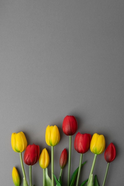Foto tulipas amarelas e vermelhas na superfície cinza