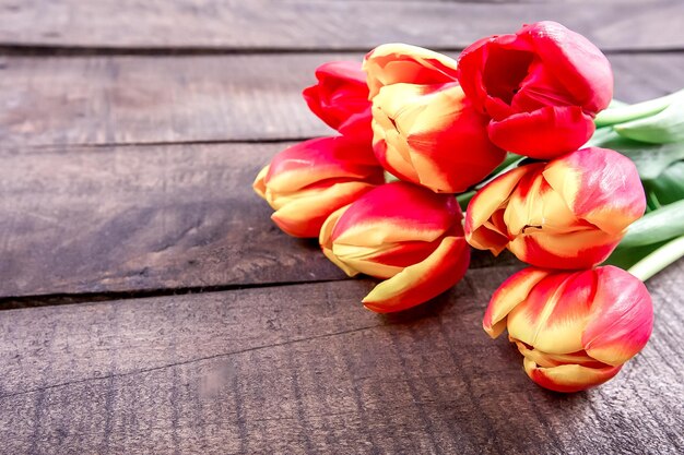 Foto tulipas amarelas vermelhas em uma mesa de madeira marrom