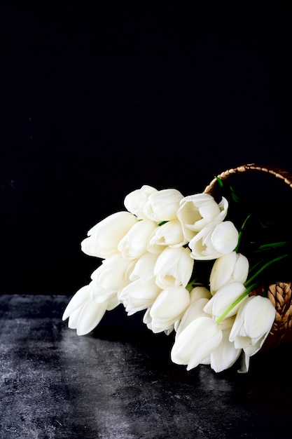 Foto tulipas brancas no fundo escuro férias frescas buquê primavera