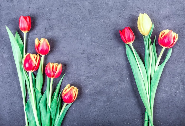 Foto tulipas coloridas em um fundo de mesa preta