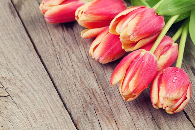 Tulipas coloridas na mesa de madeira