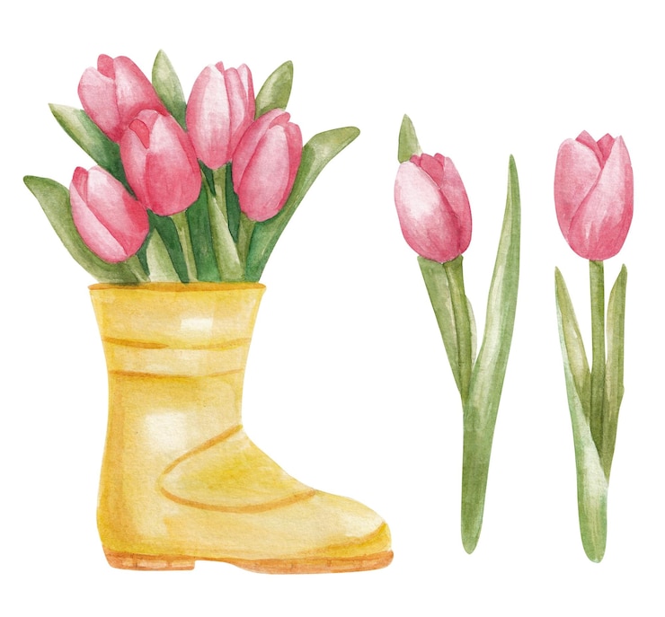 Foto tulipas cor-de-rosa de primavera em conjunto de ilustração de aquarela de bota amarela isolada em branco