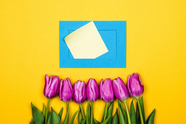 Tulipas cor de rosa e envelope azul decoração de Páscoa. cartão de dia das mulheres