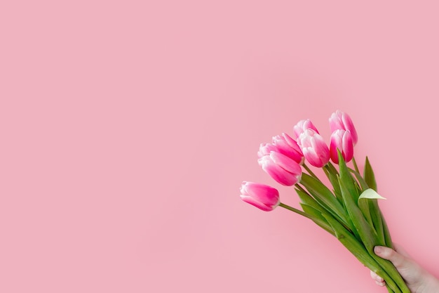 Tulipas cor de rosa em fundo rosa com espaço de cópia.