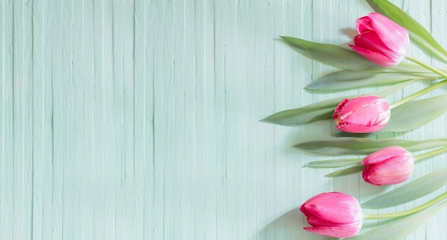 Tulipas cor de rosa em fundo verde de madeira