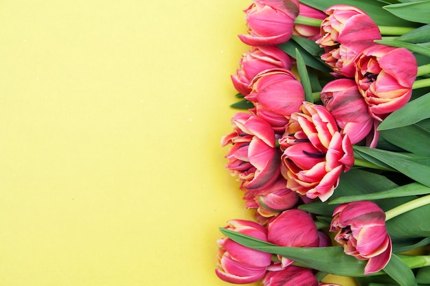 Tulipas cor de rosa em um fundo amarelo. Copie o espaço para texto. Em branco para banner ou cartão de felicitações