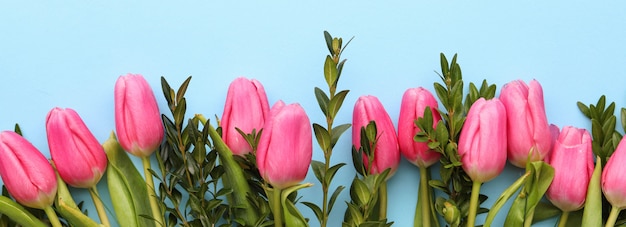 Tulipas cor de rosa em uma superfície azul