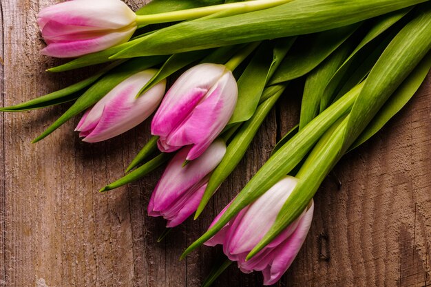 Tulipas cor de rosa