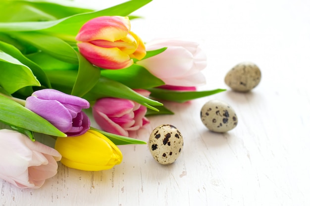 Tulipas da mola e close up bonitos dos ovos de codorniz. conceito de páscoa