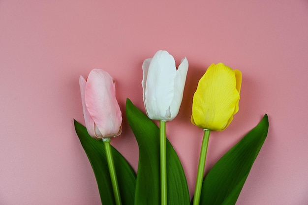 Tulipas de buquê em um fundo rosa