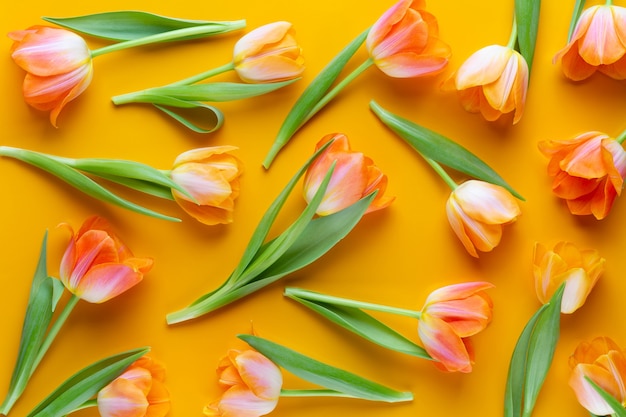 Tulipas de cor pastéis amarelos no fundo amarelo. Estilo vintage retrô. Natureza morta, arte plana leiga.