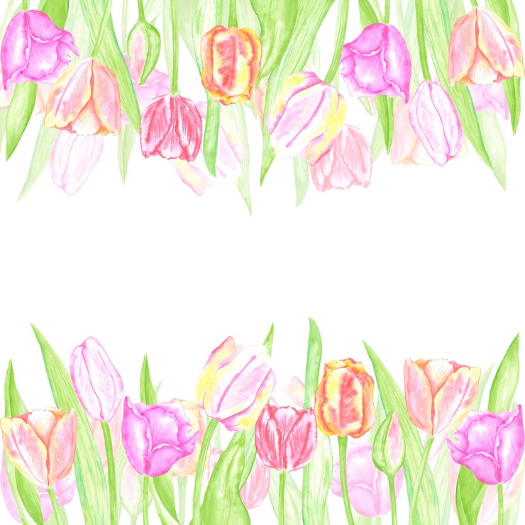 Foto tulipas delicadas com folhas verdes desenhadas à mão com aquarela ilustração de flores isoladas em fundo branco pode ser usada para cartões postais, scrapbook de convites e outros produtos impressos