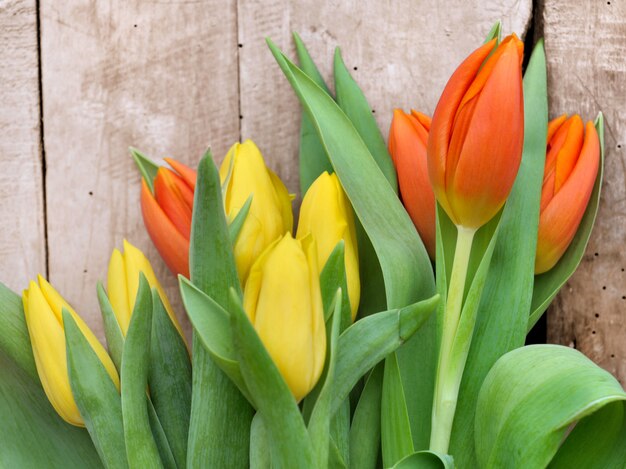 Tulipas em fundo de madeira