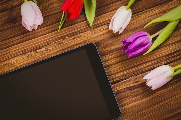 Tulipas formando quadro em volta do tablet