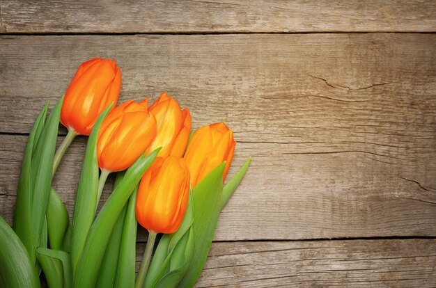 Tulipas laranja em fundo de madeira.