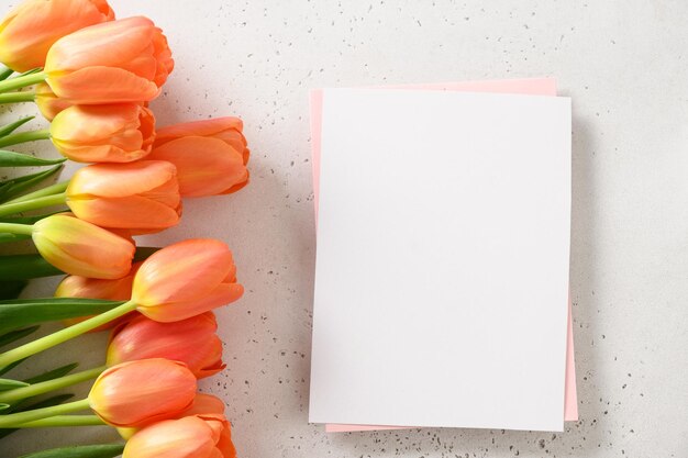 Tulipas laranja frescas e vazio em branco para carta em fundo branco com espaço para texto Cartão de saudação de primavera para o dia das mães