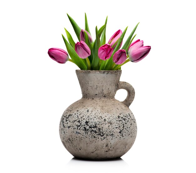 Tulipas lilás em um vaso de concreto em um fundo branco