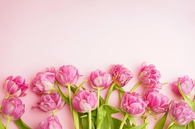 Tulipas de peonía rosadas frescas en un espacio de fondo rosa pastel para el texto Día de la Madre o Día de San Valentín