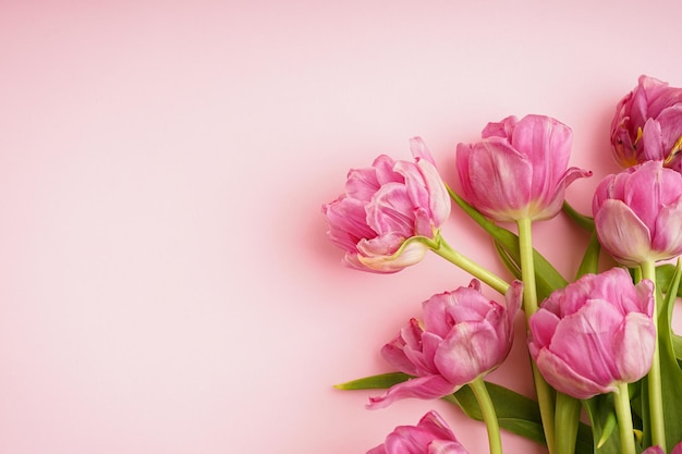 Foto tulipas de peonía rosadas frescas en un espacio de fondo rosado pastel para el texto día de la madre vista superior