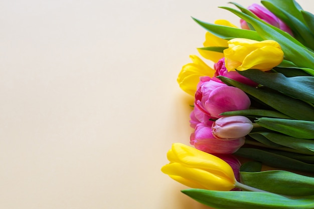 Tulipas rosa e amarelas em um fundo amarelo