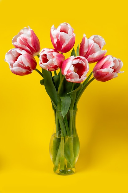 Foto tulipas rosa em um vaso