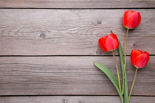 Tulipas vermelhas em um cinza de madeira.