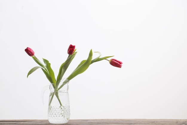 Tulipas vermelhas em vaso de vidro no fundo branco