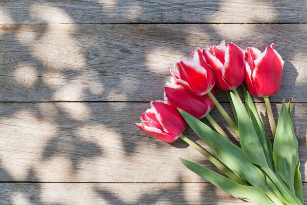 Tulipas vermelhas na mesa de jardim