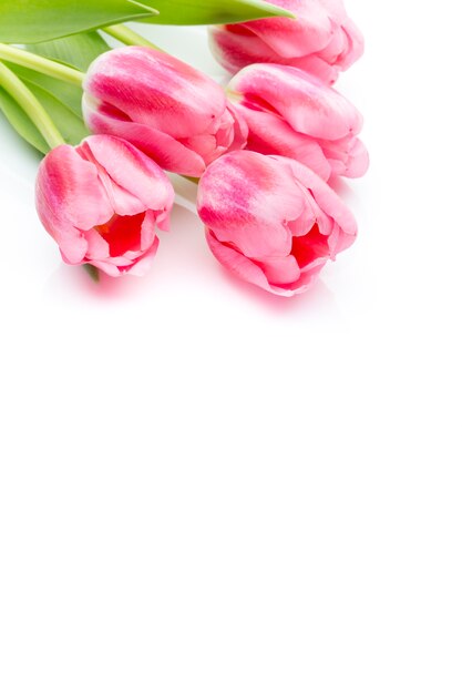 Tulipas