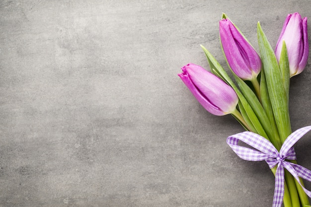 Tulpe auf grauem Hintergrund