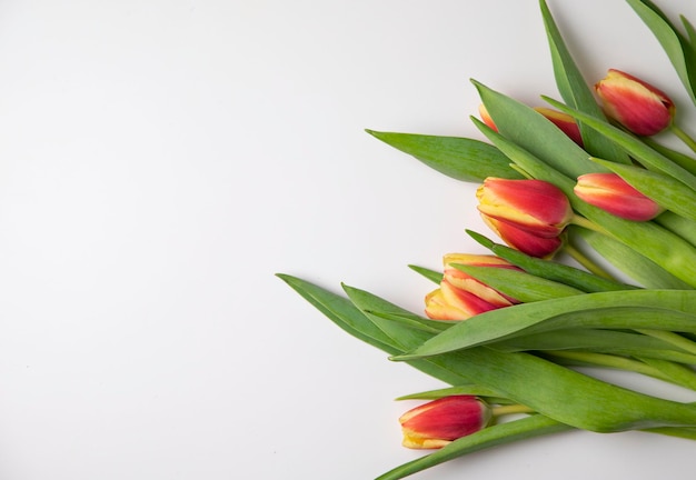 tulpe blumenstrauss natur farbe anordnung haufen schönheit pflanze