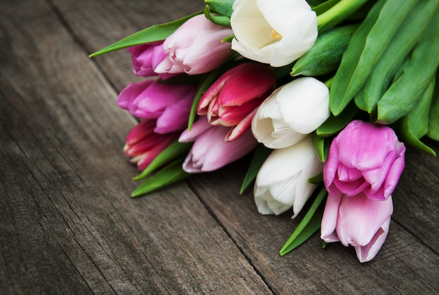 Tulpe Frühlingsblumen