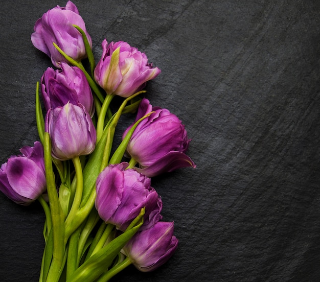 Tulpe Frühlingsblumen